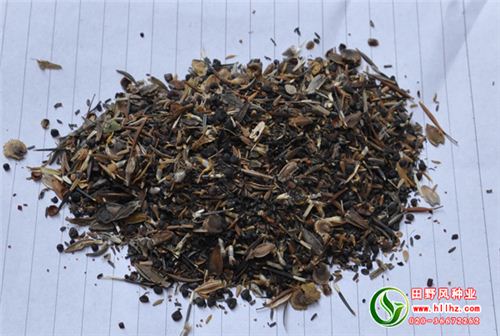 北国风光野花组合