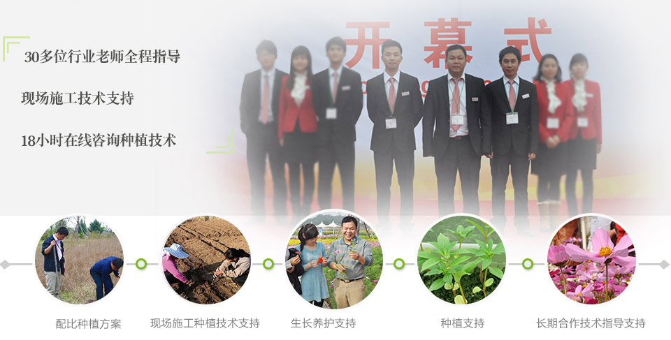 花种子研发专家团队，花种批发客户的信心基础