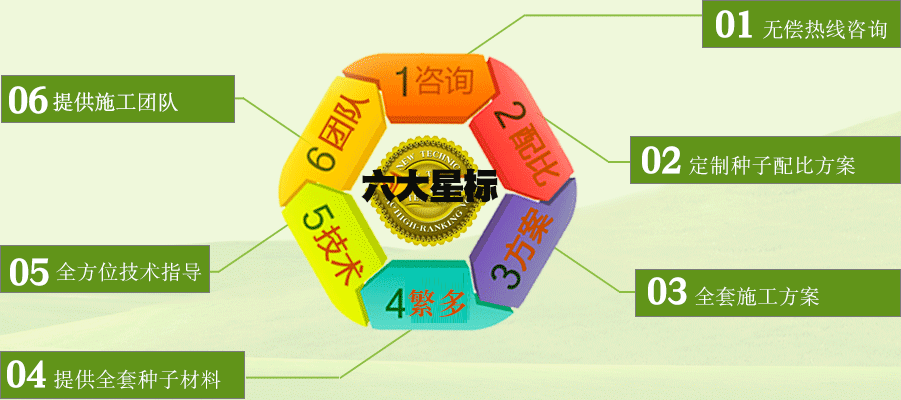花啦啦花种子批发，6大星标服务体系